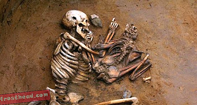 Древние скелеты раскрывают генетическую историю Центральной Европы