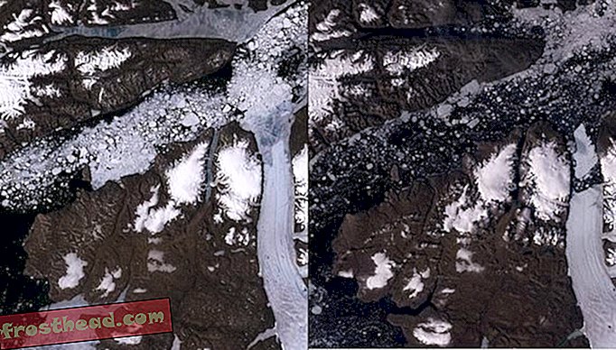 Grönlandi Petermann gleccser