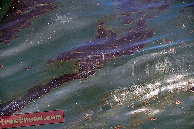 Cinco mitos del derrame de petróleo del Golfo