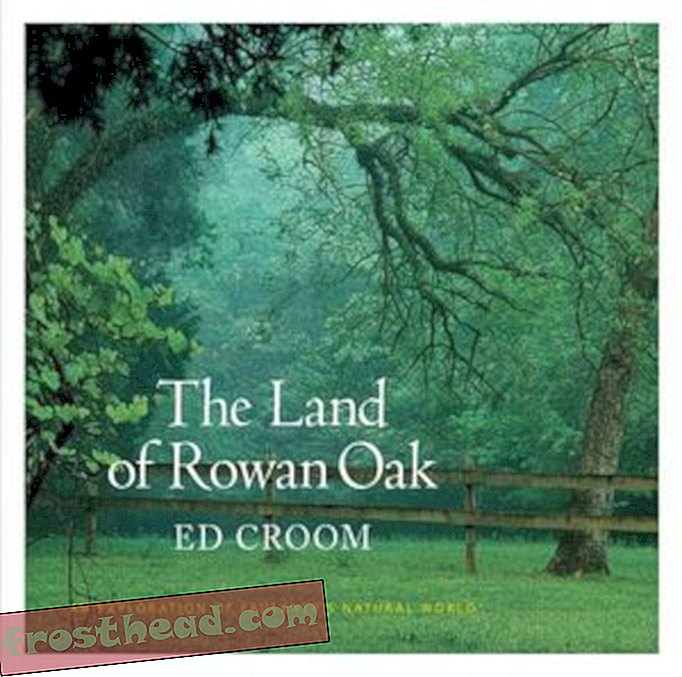 Preview thumbnail for video 'The Land of Rowan Oak: An Exploration of Faulkner's Natural World