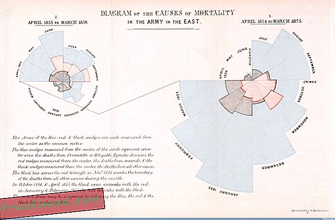 Les «diagrammes de roses» de Florence Nightingale