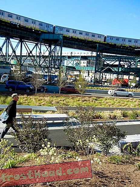 Ruddick transformoval Queens Plaza sloučením rostlin, vody, větru a slunce s infrastrukturou města.