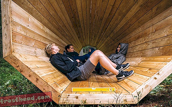 статии, дизайн, пътуване - Слушайте природата чрез тези гигантски дървени мегафони в горите на Естония