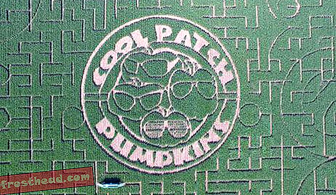 Cool Patch Pumpkins uhke 63 aakri suuruse maailma suurima maisilabürindiga.