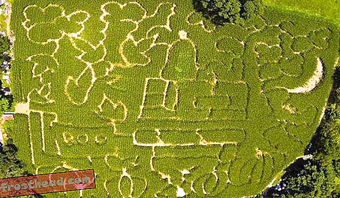 Το οικογενειακό αγρόκτημα Wright στο Warwick, Νέα Υόρκη, χαρακτηρίζει τον Snoopy προς τιμήν της 50ής επετείου από την κυκλοφορία της ταινίας Peanuts για τη Μεγάλη Κολοκύθα.