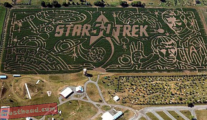 Richardson Farm w Spring Grove w stanie Illinois przedstawia Star Trek w labiryncie kukurydzy w tym roku.