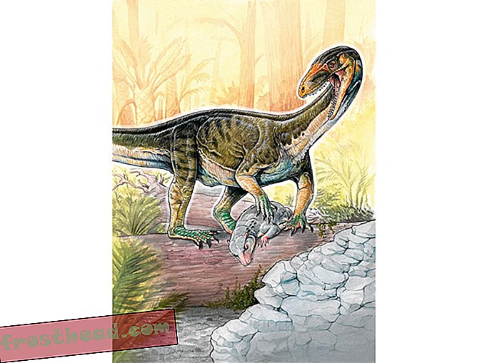Avant qu'il y ait des dinosaures, il y avait cette étrange chose qui ressemble à un crocodile
