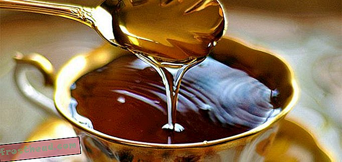 artiklid, toit, ajaveebid, üllatav teadus, teadus, elusloodus - Teadus Honey igavese kõlblikkusaja taga