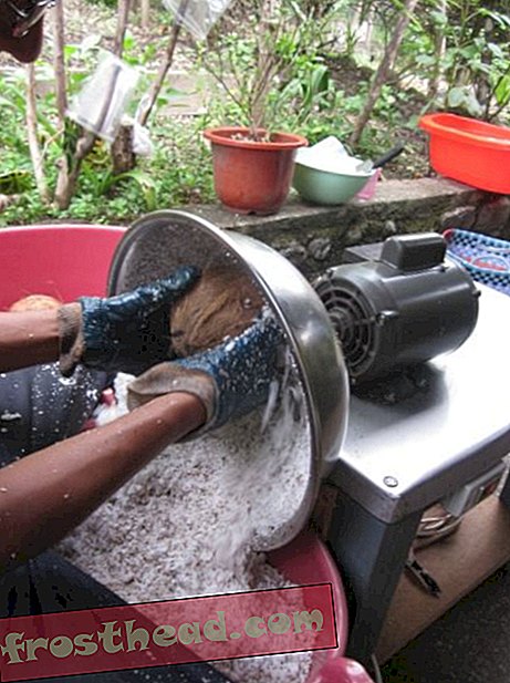 Les noix de coco sont broyées en copeaux, une noix à la fois.