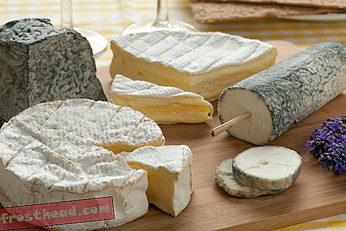 Τι άσπρο τυρί μας λέει για την επιστήμη της αηδία