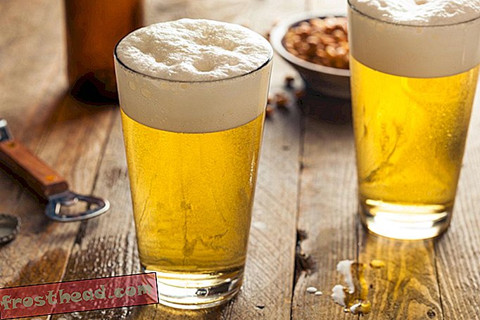 artikelen, voedsel, wetenschap - Wacky, Wonderful, Wild Hops kunnen de verwaterde bierindustrie transformeren
