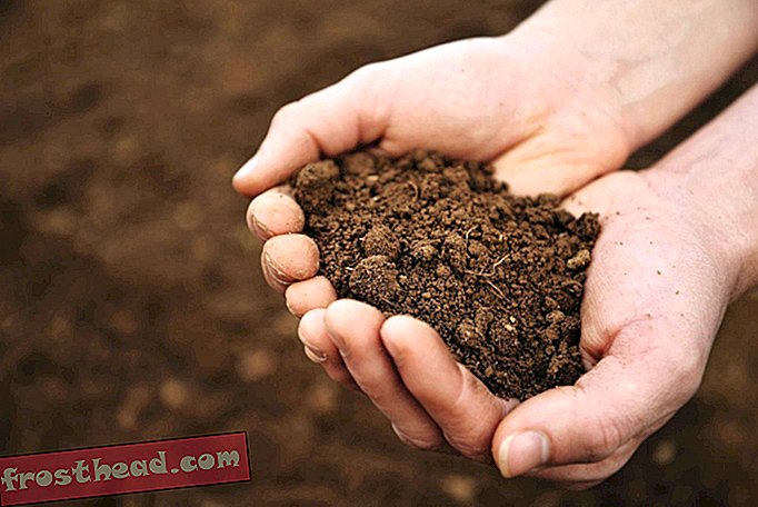 articles, nourriture, science - Le sol a aussi un microbiome