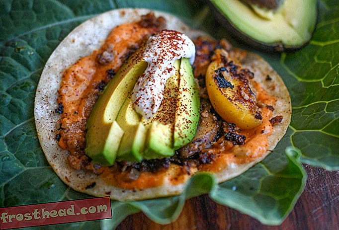 články, jídlo, věda - Holy Guacamole: Jak Hass Avocado dobyl svět