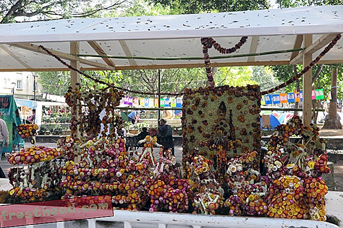 articles, nourriture, voyage - Pourquoi la sculpture sur radis est devenue un événement populaire des vacances à Oaxaca