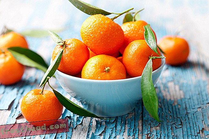 članki, zdravje in medicina, znanost - Ali je lahko vitamin C zdravilo za smrtonosne okužbe?