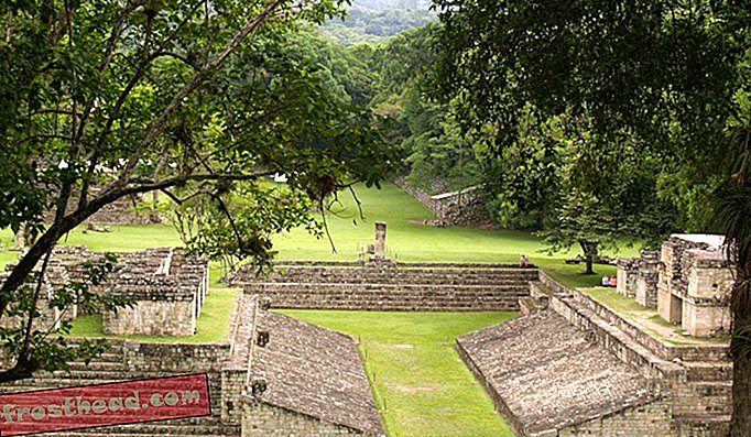 Artikel, Geschichte, Archäologie, Wissenschaft, menschliches Verhalten, wild lebende Tiere - Die Maya erbeuteten, handelten und opferten Jaguare und andere große Säugetiere
