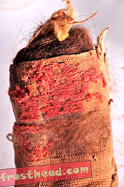 Kudottu kangaslaukku, joka on täytetty ihmisen hiuksilla.