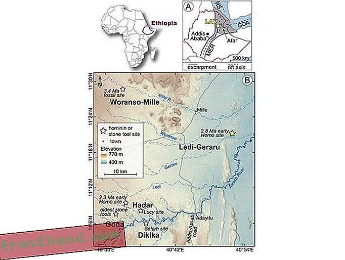 המאובן האנושי העתיק ביותר שנחשף באתיופיה