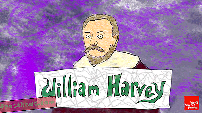 Treffen Sie William Harvey, ein missverstandenes Genie in der menschlichen Anatomie
