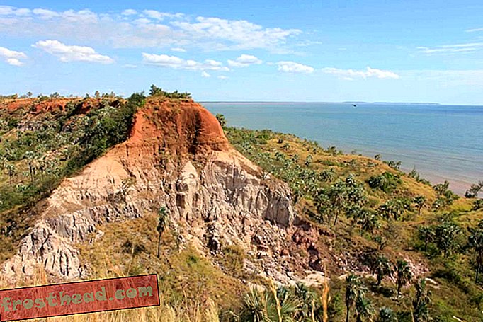 članci, povijest, znanost, divljina - Sitni fosili otkrivaju uspon sisavaca na Madagaskaru