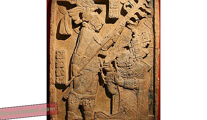 Ancient Maya Bloodletting Tools of Common Kitchen Knives?  Hoe archeologen het verschil vertellen