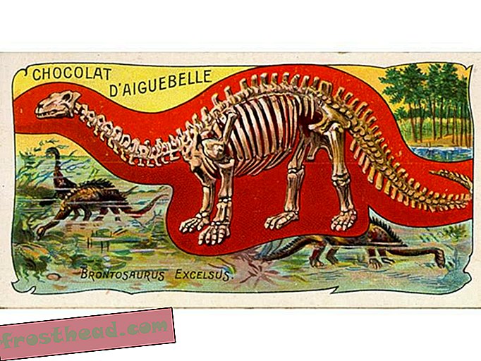artikkelit, historia, tiede, dinosaurukset, villieläimet - Takaisin Brontosaurus?  Dinosaurus voi ansaita oman sukunsa loppujen lopuksi