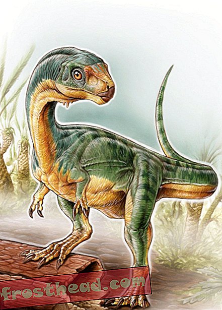 статии, история, наука, дивата природа - Запознайте се с Chilesaurus, нов динозавър, подобен на грабливи птици, с вегетарианска диета