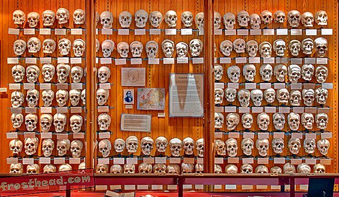 La collection de crânes d'Hyrt au musée Mütter continue à être exposée ensemble. Récemment, le musée a organisé une campagne de financement «Save Our Skulls» afin de mieux conserver la collection.