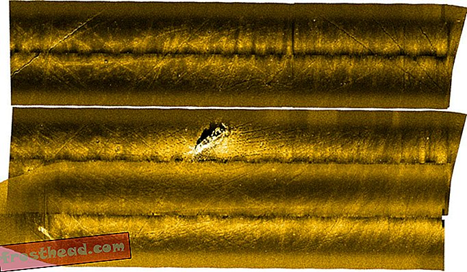 Cette image sonar à balayage latéral du fond de la mer Baltique révèle ce qui pourrait être un navire sabordé rempli d'armes chimiques et les marques de chalut des navires de pêche sillonnant le fond marin à proximité.