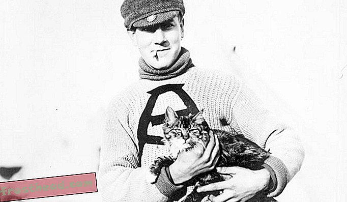 Mačka 'Tabby' je septembra 1914 s kanadskim vojakom na ravnici Salisbury.