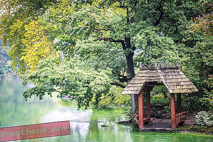 Leseni gazebo na jezeru v Centralnem parku