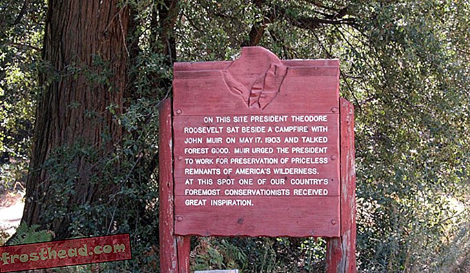 Yosemite Roosevelt Muir lugar de campamento