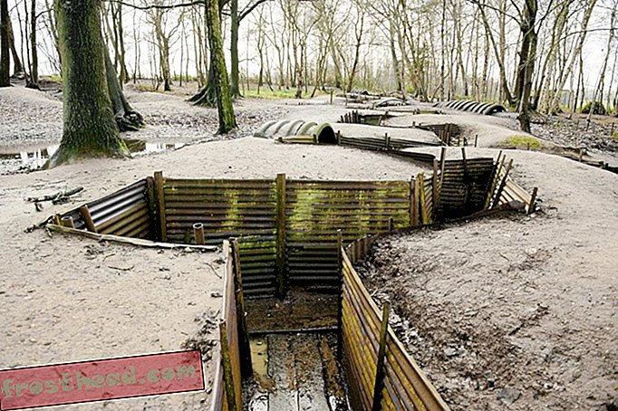 Okopy z I Wojny Światowej, Sanctuary Wood, Ypres, Belgia