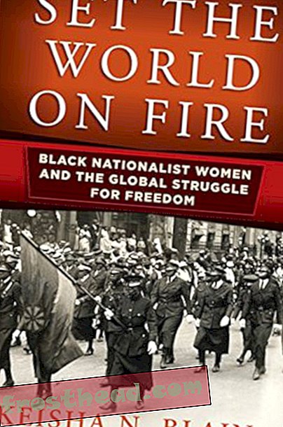 Preview thumbnail for 'Set the World on Fire: Black Nationalist Women and the Global Struggle for Freedom (Politics and Culture in Modern America)