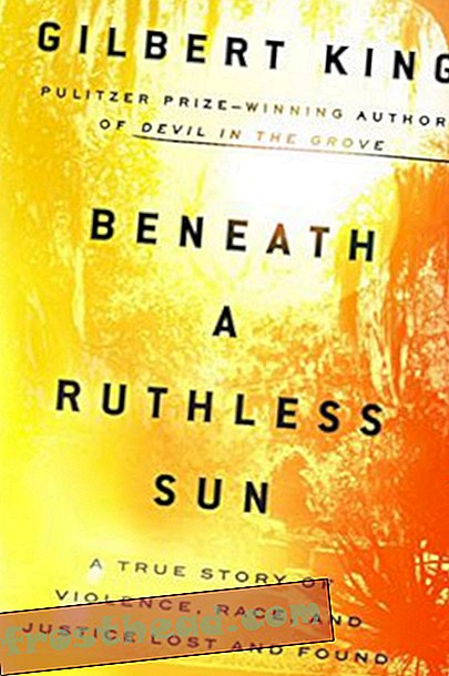 Preview thumbnail for 'Beneath a Ruthless Sun: A True Story of Violence, Race, and Justice Lost and Found