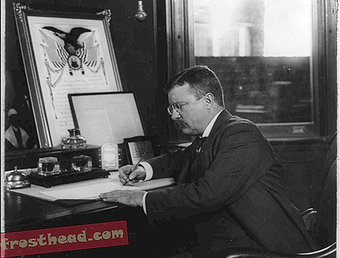 Rasprava o izvršnim nalozima započela je ludom strašću Teddyja Roosevelta za očuvanjem