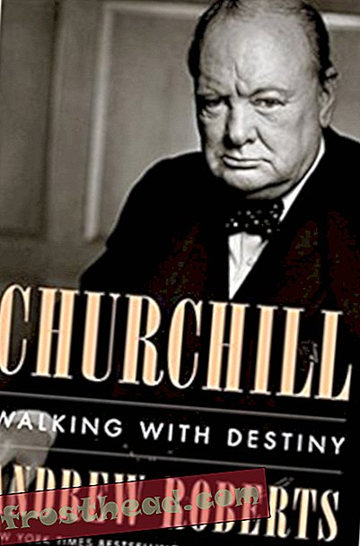 Preview thumbnail for video 'Churchill: Walking with Destiny