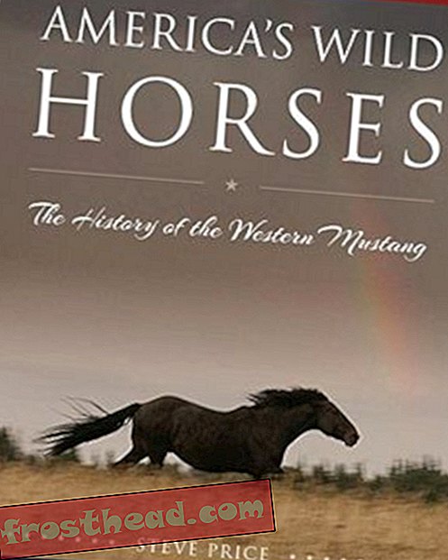 articles, histoire, histoire nous, magazine, science, faune - Comment la Mustang, symbole de la frontière, est devenue une nuisance