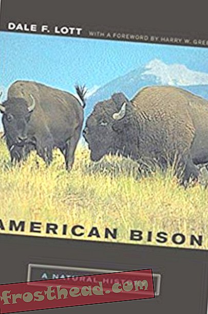 articles, histoire, histoire nous, science, faune - Le bison revient dans les grandes plaines américaines