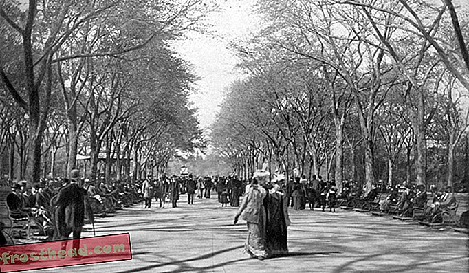 The Mall, Central Park, New York ', okoli leta 1897. Eplanata za pešce v Central Parku na Manhattnu zasnovana po načrtih Fredericka Law Olmsted in Calvert Vaux.