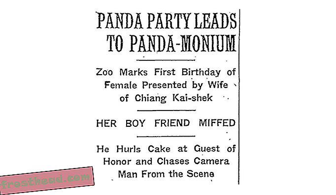 Panda-puolue johtaa Panda-Monium.png-sivulle