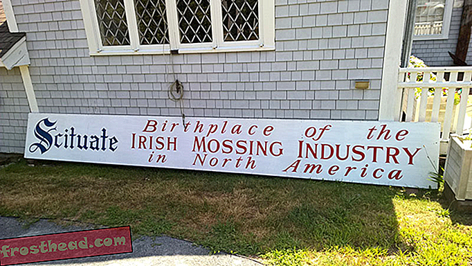 Birthplace of Irish mossing-Scituate.png