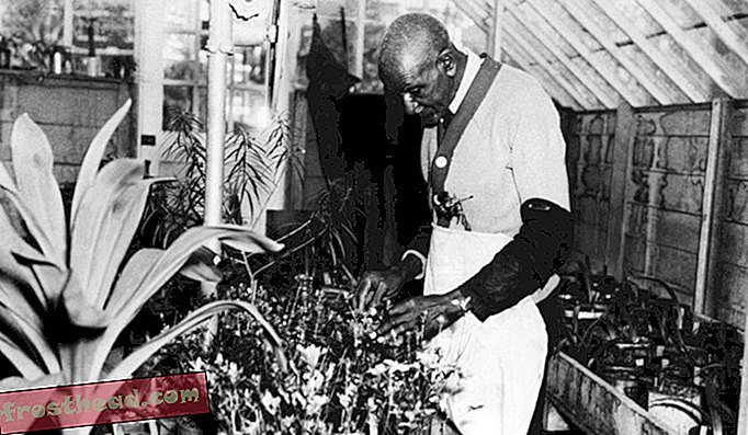 άρθρα, ιστορία, ιστορία μας, επιστήμη - Στην αναζήτηση της True Legacy του George Washington Carver