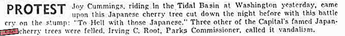 Après Pearl Harbor, des vandales ont abattu quatre cerisiers japonais de Washington