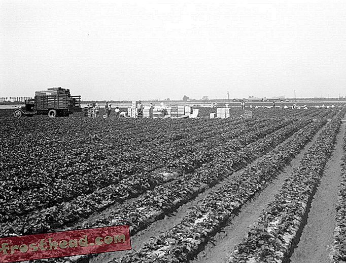 1930ndatel hakkas Orange'i maakond minema apelsiniistandike ja maasikapõldude maalt.