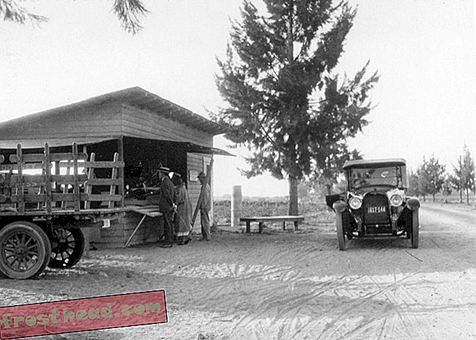 Knotti algne marjasalv, Buena Park, Californias, umbes 1926. aastal