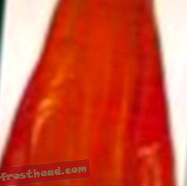 אגדת הדולי של שמלת הקטיפה האדומה של מדיסון