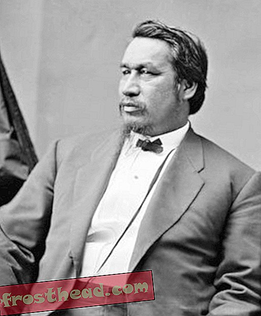 artykuły, historia, historia nas - Nieudana próba przyznania obywatelstwa rdzennych Amerykanów przez Ulissesa Granta