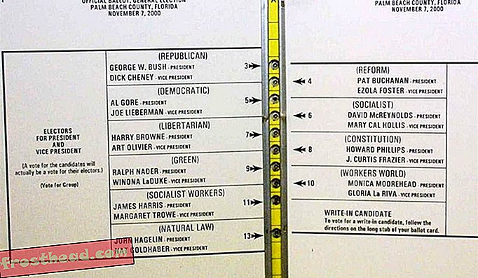 Η ψηφοφορία πεταλούδας της Φλόριντα συγχέεται με πολλούς ψηφοφόρους, οι οποίοι κατέληξαν να ψηφίζουν για τον υποψήφιο του Reform Party Pat Buchanan, πιστεύοντας ότι ψήφισαν για τον Δημοκρατικό υποψήφιο Al Gore.