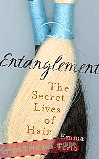 Preview thumbnail for video 'Entanglement: The Secret Lives of Hair